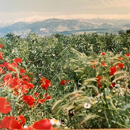 Encantador Cortijo La Emiliana A 5 Minutos Del Centro Чурриана-де-ла-Вега Экстерьер фото
