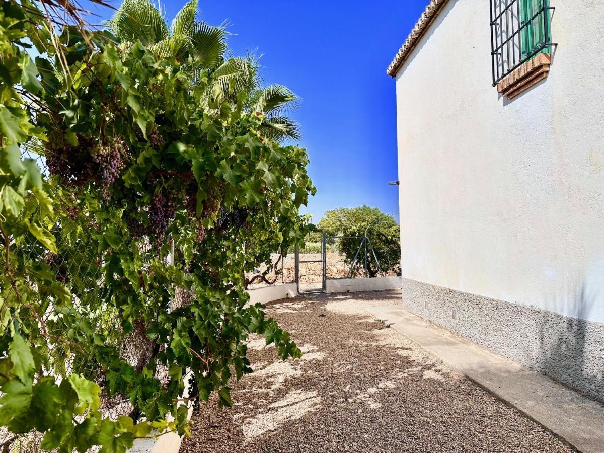 Encantador Cortijo La Emiliana A 5 Minutos Del Centro Чурриана-де-ла-Вега Экстерьер фото